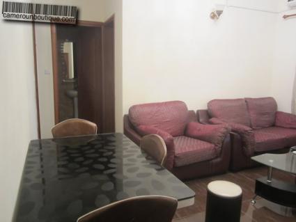Location Appartement meublé F2 Douala Bonapriso Njo Njo