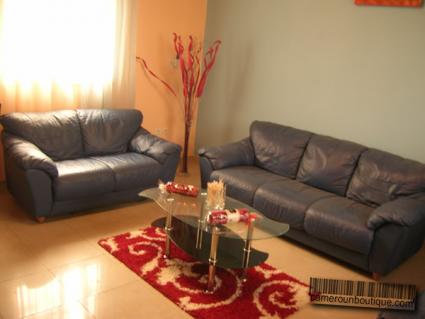 Salon appartement meublé Douala Akwa